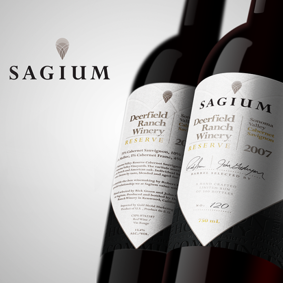 What Designs - Portfolio - Corporate - Sagium - Dv2